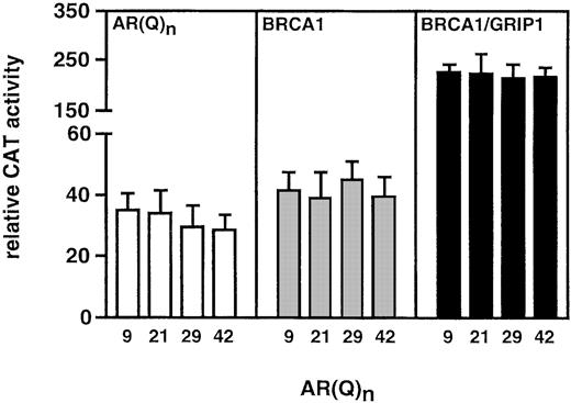 Fig. 5. BRCA1 normalizes the AR poly-Q effect. PC-3 cells were cotransfected with 2.0 μg of ARR3tk-CAT, 25 ng of pcDNA-hAR(Q)n, 2.0 μg of pSG5-GRIP1, and 2.0 μg of pcDNA-BRCA1 as indicated. CAT activities in the presence of DHT were normalized to total cellular protein and to AR(Q)nexpression levels as determined by ligand binding assays(9). Data presented are the means of three independent dishes; bars, SE.