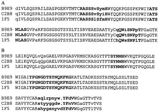 Fig. 1. Amino acid homology of the VL(A) and VH (B) regions of B9E9 and the anti-CD20 antibodies C2B8 (21) and 1F5(22). The complementarity-determining regions are shown in bold type, and amino acids that differ between the constructs are indicated in lowercase letters.