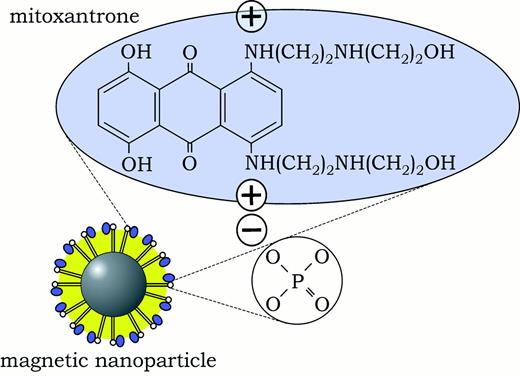 Fig. 1. Structural formula of MTX bound to magnetic nanoparticle.