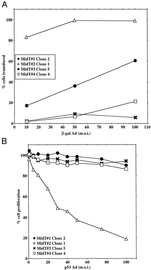Fig. 1. Ad transduction of midT cell lines in vitro. A, transduction efficiency for β-gal Ad. B,sensitivity of representative MidT clones to treatment with SCH58500. Multiplicity of infection (m.o.i.), C. I. U./cell.