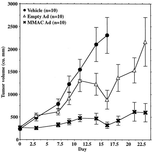 Fig. 5. MMAC gene therapy inhibits the growth of MidT2-1 mammary fat pad tumors in immunocompetent, syngeneic FVB mice. Bars, SE.