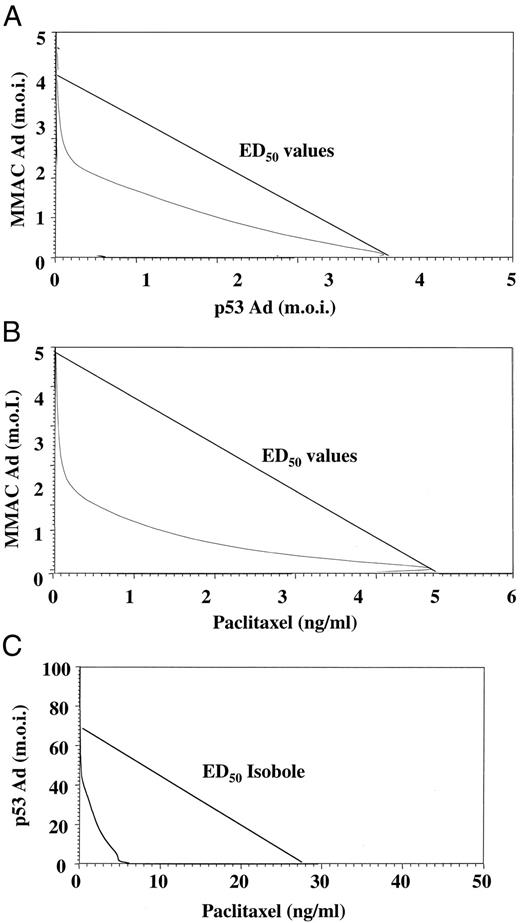 Fig. 6. Drug interaction studies in MidT2-1 cells in vitro. A, isobole graph for MMAC Ad and p53 Ad demonstrating a synergistic interaction between the two recombinant adenoviruses(P = 0.0001). B, isobole graph for MMAC Ad and paclitaxel demonstrating synergy(P = 0.0496). C, isobole graph for SCH58500 (p53 Ad) and paclitaxel when MidT2-1 cells were incubated with paclitaxel 24 h before the addition of SCH58500. The data demonstrate synergy (P = 0.0002). Multiplicity of infection (m.o.i.), C. I. U./cell.