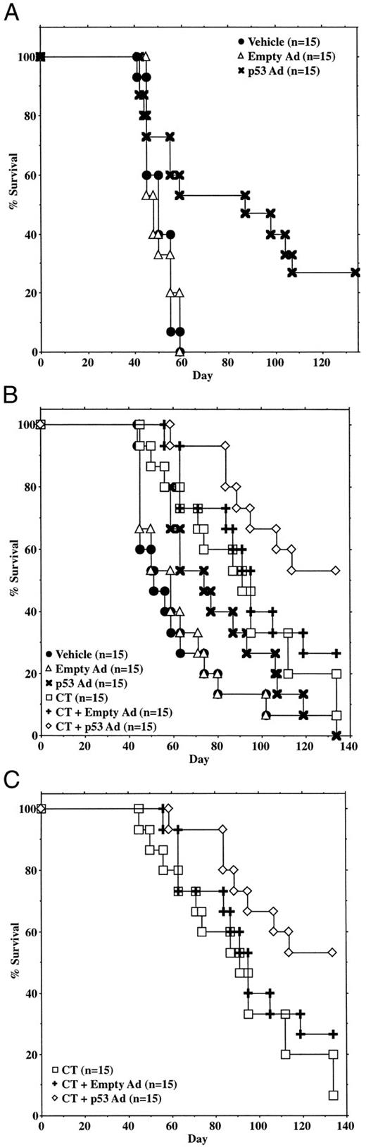 Fig. 7. A, treatment with SCH58500 improves the survival of syngeneic FVB mice bearing i.p. MidT2-1 tumors. Five thousand MidT2-1 cells were injected on day 0. The total Ad dose was 1.5 × 1010 PN (5.3 × 108 C.I.U. SCH58500 and 2.7 × 108 C.I.U. empty Ad) split into 15 i.p. injections over 4 weeks starting on day 8. B, SCH58500 enhances the survival benefit of cisplatin/paclitaxel chemotherapy. Five thousand MidT2-1 cells were injected on day 0. The Ad dose was 1 × 109 PN/mouse/day (3.6 × 107 C.I.U. SCH58500 and 1.8 × 107 C.I.U. empty Ad). The cisplatin dose was 0.1 mg/kg/day,and the paclitaxel dose was 0.25 mg/kg/day. Mice were dosed five times/week for 3 weeks starting on day 7. C, same study as in B, but only showing the chemotherapy groups for clarity.