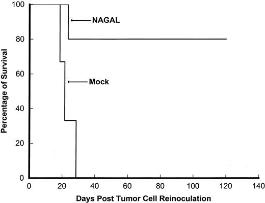Fig. 5. Treatment with transfectant influenza A virus induces long-lasting protective antitumor responses. Five mice surviving CT26.CL25 tumor inoculation after treatment with NAGAL virus were rechallenged with a second dose of 105 CT26.CL25 tumor cells 6 months after immunization. Nonimmunized animals were also included as controls. Animals were monitored daily for survival.
