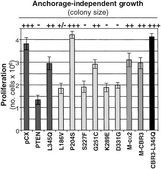 Fig. 4. Variable effects of the C2 domain loop mutants on the tumor growth of U87-MG cells. The ability to form colonies in soft agar of retrovirus-infected U87-MG cells stably expressing PTEN or the indicated mutants was evaluated by the size of the colonies and scaled from no growth (−) to maximum growth as in the vector-transfected cells (+++). The proliferation represents the number of retrovirus-infected U87-MG cells growing on the plate after completion of the drug selection.