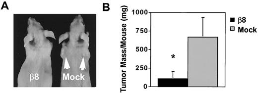 Fig. 6. β8 expression in H647 cells inhibits tumor growth in nude mice. A, large tumors formed in the mice inoculated with mock-infected H647 cells (arrows) but not in the mice inoculated with β8-expressing cells (on left). B, the β8-expressing H647 cells produced a mean tumor weight/mouse (0.11± 0.10 g/tumor) 84% less than did the mock-infected H647 cells (0.67± 0.26 g/tumor; ∗, P < 0.001). The data represent three separate experiments with six mice in each group (total tumors analyzed: β8, n = 66; Mock, n = 102). Bars, SD.