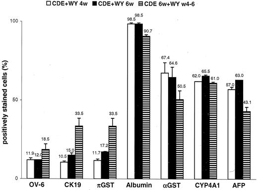 Fig. 5. Phenotype of large oval cells (diameter >15μm) isolated from rats treated with WY14,643. Phenotype was determined by immunocytochemistry on cytospin preparations; details are in “Material and Methods.” Cell designation in the legend is as indicated in Table 2<$REFLINK>. A total of 200 large cells were scored on random fields. Values are means obtained from at least two independent scorings; bars, SD.