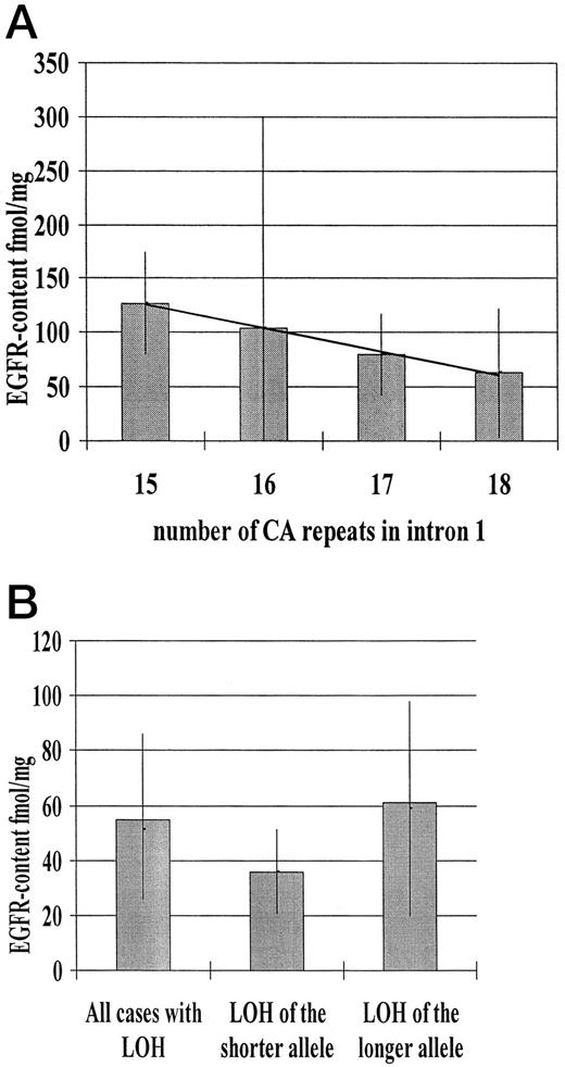 Fig. 2. A, graphical illustration of the influence of the smaller CA repeat allele on EGFR expression. The number of CA repeats in intron 1 is indicated on the X axis, the expression of EGFR on the Y axis (fmol/mg). Mean values with the corresponding standard deviations (bars)are indicated. B, illustration of the influence of LOH on EGFR expression with a defined example of a 16/20 CA repeat allele composition. Columns represent the median; points and vertical lines represent mean values and the corresponding standard deviations.