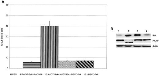 Fig. 2. Caspase-dependent induction of Ad/GT-Bak-induced apoptosis. A, inhibition of Ad/GT-Bak-induced apoptosis in H1299 cells by addition of caspase inhibitor z-DEVD-fmk (80μ m) before Ad/GT-Bak transfection. B,Western blot analysis of PARP cleavage after Ad/GT-Bak treatment in the presence or absence of caspase inhibitor z-DEVD-fmk (80μ m). Western blot analysis of the expression of Bak expression and PARP cleavage in cell lysates 24 h after treatment with PBS (Lane 1), Ad/GT-Bak + Ad/GV16(Lane 2), Ad/GT-Bak + Ad/GV16+z-DEVD-fmk(Lane 3), and z-DEVD-fmk (Lane 4). The expression level of actin was used as a control.