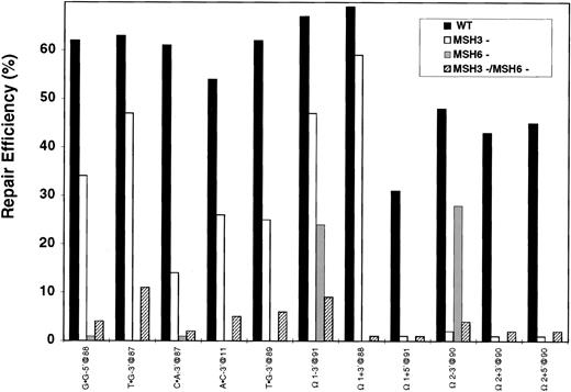 Fig. 2. DNA MMR activity in Msh3+/+, Msh3−/−, Msh6−/−, and Msh3−/−;Msh6−/− cells. The analysis was performed as described (14). Substrates designated with a Ω contain the number of extra nucleotides that accompany the symbol. Substrates are designated with a 3′ when the nick is in the (−) strand at the AvaII site (position −264), or with a 5′when the nick is in the (−) strand at the Bsu36 I site(position +276). The nucleotide position of the mismatch or unpaired bases in the lacZα complementation gene is indicated after the @, where position +1 is the first transcribed base of the lacZα complementation gene. The(+) or (−) sign designates the strand containing the extra nucleotide(s). WT refers to wild-type mouse ES cells. Cell extracts were prepared as described in“Materials and Methods” from ES cells (WT, Msh6−/−) or embryonic fibroblasts(Msh3−/− and Msh3−/−;Msh6−/−). The results are based on counting several hundred plaques per variable. When no column is shown, this variable was not examined. The repair data for Msh6−/− extracts are from Edelmann et al. (8). The sensitivity of this in vitro assay cannot determine repair efficiency values <10%,hence repair efficiency of 10% is considered noise (28).