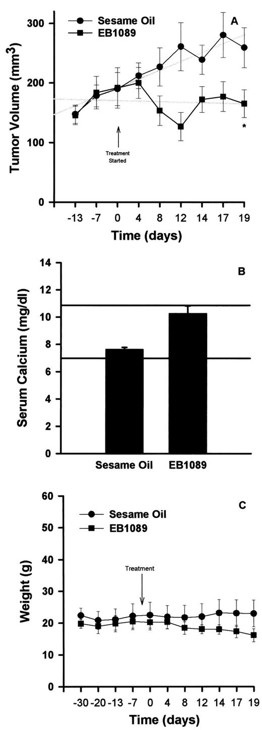 Fig. 2. EB1089 inhibits the growth of LNCaP tumors in nude mice. One million LNCaP cells were mixed with 100 μl of Matrigel Matrix and injected s.c. into one site on the dorsal side of male nude mice (∼6 weeks of age). Tumors were grown until an approximate volume of 150 mm3, determined by the formula length × width × 1/2 the larger of length or width. Animals received injections i.p. with either sesame oil (vehicle) or 0.5 μg/kg EB1089 in a total volume of 100 μl every other day. Interim measurements were taken twice a week, and final measurements were taken on day 19 of treatment. Points are an average of tumors(n = 10); bars, SE. A: Y-axis, average tumor volume for each treatment group; X-axis, time. ∗, P ≤ 0.05 using analysis of covariance compared with the starting tumor volume. Gray lines, first-order linear regression of points. B: Y-axis, average serum calcium levels for each treatment group. Bars, average ± SE (n = 10). Lines, average range of serum calcium for male mice of the age used (10). C: Y-axis, average weights of each treatment group (bars, SE; n = 10); X-axis, time.