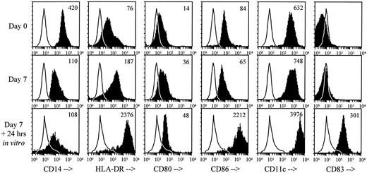 Fig. 3. Circulating CD14+ cells from patients treated with GM-CSF and IL-4 rapidly mature into DCs in culture. Circulating CD14+ cells collected from cohort E on day 7 expressed less CD14 but increased levels of HLA-DR, CD80, and CD11c compared to CD14+ cells collected from the same subjects on day 0. When cultured in vitro in CM (no exogenous cytokines) for 24 h, day 7 cells rapidly up-regulated expression of HLA-DR, CD80,CD86, CD11c, and CD83 in a pattern consistent with mature DCs. A representative experiment is shown (subject E4).