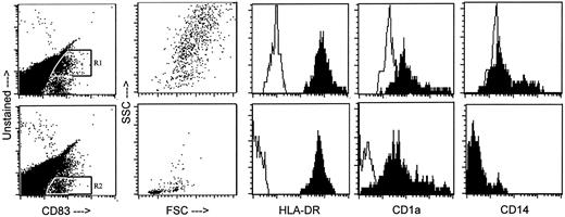 Fig. 6. Cells expressing CD83 did not express CD14 but expressed high levels of HLA-DR and CD1a. Peripheral blood leukocytes were stained with anti-CD83 in combination with either anti-HLA-DR,anti-CD1a, or anti-CD14 and analyzed by FACS analysis. CD83+ cells with high autofluorescence (region R1) and low autofluorescence (region R2)were identified by two-dimensional dot-plots as described in the Fig. 5<$REFLINK>legend and analyzed individually for their size (FSC),cellular complexity (SSC), and expression of the indicated markers. Background autofluoresence is indicated by the white histograms, and fluorescence after staining with specific antibody is indicated by the black histograms. Representative results for the D cohort, subject D2, are shown.