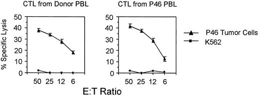 Fig. 3. CTLs stimulated with MYCN peptide S9K kill MYCN-amplified neuroblastoma tumor cells. Target cells were HLA-A1+, MYCN-amplified neuroblastoma cells (P46) or K562 cells used at various E:T ratios in a 6-h 51Cr-release assay. Values shown are means of three separate experiments; bars, SE.