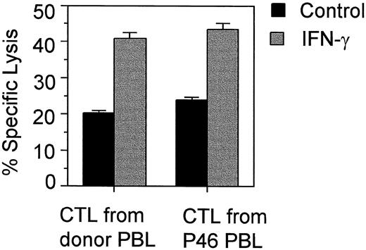 Fig. 6. MYCN peptide S9K-stimulated CTLs are active against IFN-γ-treated and untreated MYCN-amplified neuroblastoma cells. The activity of CTLs from either the HLA-A1+ normal donor or patient P46 was determined against P46 neuroblastoma cells treated or not treated with IFN-γ (200 units/ml for 48 h) at an E:T ratio of 50:1 in a 6-h 51Cr-release assay. The data represent means from three independent experiments; bars, SE.