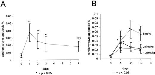 Fig. 2. A, time course of apoptosis occurrence after a single injection of 2.5 mg/kg DOX. B,dose-dependent induction of apoptosis following single injections of 1.25, 2.5, and 5.0 mg/kg DOX.