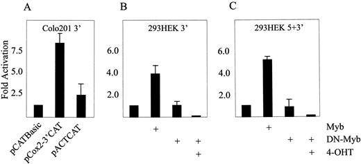 Fig. 3. Transactivation of the COX-2 promoter in c-Myb-expressing colon cell line Colo201 and in c-Myb-negative cell line HEK293 by exogenous c-MYB. A, the 3′ cox-2 promoter region results in ∼8-fold activation of the CATreporter gene in Colo201 cells compared with the β-actin-driven CAT construct (pACTCAT). This cell line expresses relatively high c-MYB levels. B, in c-MYB-negative HEK293 cells,the addition of exogenous c-MYB transactivates the 3′ region of the COX-2 reporter construct 4-fold, whereas the addition of a DN-Myb construct has no effect unless activated by the addition of 4-OHT. C, the combined 5′ and 3′ regions of the COX-2 promoter allows slightly higher transactivation compared with the 3′ region alone. In addition, the DN construct also inhibits its activity. Bars, SE.