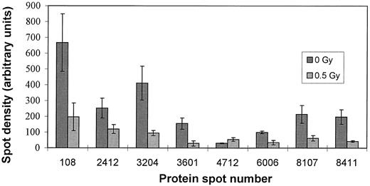 Fig. 2. Protein regulation in L132 cells 4 h after irradiation with 0.5-Gy γ rays. Bars, mean spot densities, standardized to total gel signal density; n = 5. Bars, ± SE. Protein identities are shown in Table 1<$REFLINK>.