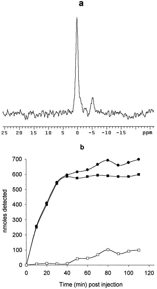 Fig. 2. Detection in vivo of FDG uptake and metabolism. Results are from a typical RIF-1 tumor of 0.33 g and show: a, the 19F MRS signals detected at 100–120 min after injection: α and β-FDG group, i.e., FDG±P (0 ppm), α-FDM group, i.e., FDM±P (5 ppm); and b, the complete time course from 0–120 min. •, total 19F-signal; ▪,FDG±P; □, FDM±P. Quantitative 19F MRS at 4.7 T of the tumor extract showed that the amounts of FDG±P and FDM±P were 525 and 95 nmol, respectively, after 120 min.