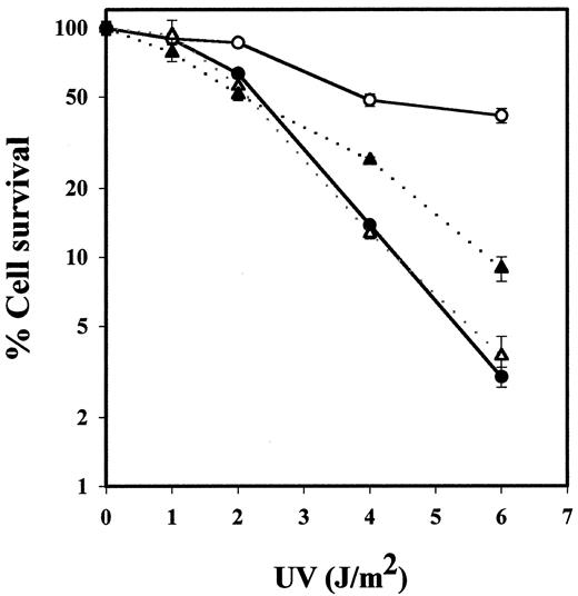 Fig. 1. Photoreactivation in human cells. Low density cultures of HeLa parental cells (▴, ▵) and HeLa-PHR2 cells (•, ○) were UV-irradiated with the indicated doses and then maintained in the dark(▴, •) or under fluorescent light illumination (▵, ○). Each experiment was performed in triplicate.