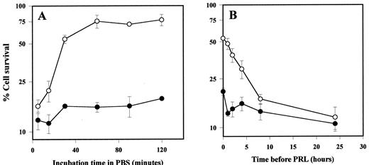 Fig. 2. Analysis of photoreactivation in HeLa-PHR2 cells. Cell survival of HeLa-PHR2 was determined with low density cultures UV-irradiated with 5.0 J/m2 either maintained in the dark(•) or under fluorescent light illumination (○). A,kinetics: photoreactivation time as indicated. B,photoreactivation (2 h) was performed at different times after UV irradiation. The cells were maintained in complete medium during the period between UV irradiation and photoreactivation. Each experiment was performed in triplicate.