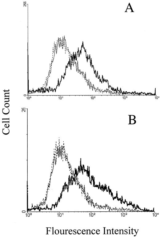 Fig. 2. Expression of mucin by mouse breast cancer cells(410.4) transfected with a plasmid encoding the MUC-1gene (E3 cells). E3 cells or 410.4 cells (1 × 106) were incubated for 1 h at 4°C with SM3(A) or HMFG-1(B) antibodies or isotype control antibodies. After incubation with antimouse-FITC antibodies and washing as described in “Materials and Methods,” the cells were analyzed for fluorescent staining by flow cytofluorography. A: light line, cells incubated without the primary antibody; dotted line, 410.4 cells incubated with SM3 antibodies; bold line, E3 cells incubated with SM3 antibodies. B: light line, cells incubated without the primary antibody; dotted line,410.4 cells incubated with HMFG-1 antibodies; bold line,E3 cells incubated with HMFG-1 antibodies.