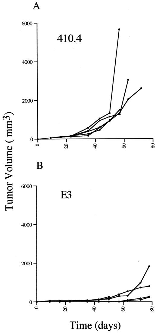 Fig. 3. Tumor growth in BALB/c mice that received injections of the fat pad of the breast with 410.4 cells or E3 cells. Naive BALB/c female mice between 12 and 16 weeks of age received injections into the fat pad of the breast with 1 × 106 E3 cells(B) in a total volume of 200 μl of growth medium or,for comparison, with 1 × 106 410.4 cells(A) in 200 μl of growth medium. Two-dimensional tumor measurements were performed, and the volume of the tumor was calculated as described in “Materials and Methods.” Each linerepresents tumor growth in an individual mouse. The end point of the line represents the death of the mouse.