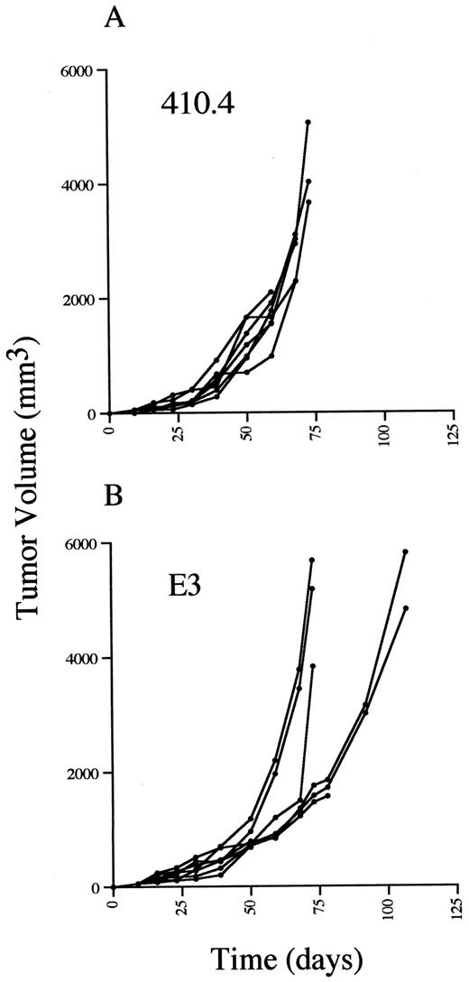 Fig. 4. Tumor growth in MUC-1 transgenic mice that received injections into the fat pad of the breast with 410.4 or E3 cells. Tumor growth was measured in naive MUC-1 transgenic mice that received injections into the fat pad of the breast with 1 × 106 E3 cells (B) in a total volume of 200μl of growth medium. For comparison, naive MUC-1 transgenic mice received injections of 1 × 106 410.4 cells(A) in 200 μl of growth medium. Two-dimensional tumor measurements were performed, and the volume of the tumor was calculated as described in “Materials and Methods.” Each linerepresents tumor growth in an individual mouse. The end point of the line represents the death of the mouse.