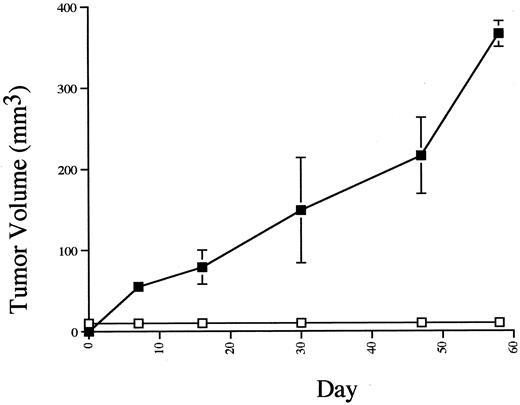 Fig. 6. Tumor growth in MUC-1 transgenic mice surviving a prior injection of E3-IL-12 cells that received injections subsequently with E3 cells. E3-IL-12 cells suspended in 200 μl of growth medium. Seventy-one days later, the mice received injections a second time into the fat pad of the contralateral breast with 1 × 106 viable E3 cells suspended in 200 μl of growth medium(□). As a control, naive MUC-1 transgenic female mice of the same age received injections into the fat pad of the breast with an equivalent number of E3 cells suspended in 200 μl of growth medium (▪). Bars, SD.