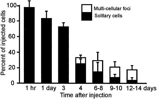 Fig. 2. Percentage of B16F10 melanoma cells, at various times after injection to target mouse lung, surviving as solitary cells or multicellular foci (bars, SD; n = 1, 7, 5, 3, 12, 8, and 8 mice).
