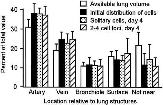 Fig. 4. Distributions of available lung volume, arrested cells immediately after injection, solitary cells at day 4, and multicellular foci at day 4 (n = 3 mice; bars, SE). There is no significant difference among the distributions within any region.