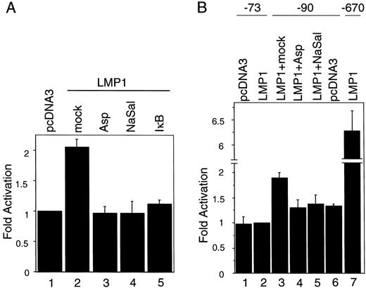 Fig. 5. Stimulation of MMP-9 promoter constructs by LMP1 and repression by aspirin and sodium salicylate. A,stimulation of MMP-9 promoter activity by LMP1 and its repression by aspirin, sodium salicylate, and IκB. The relative CAT activities from four experiments are shown; bars, SD. B,stimulation of deleted MMP-9 promoter activity (−90 CAT) by LMP1 and its repression by aspirin and sodium salicylate. The relative CAT activities from four experiments are shown; bars, SD. Asp, treatment with 5 mm aspirin; NaSal, treatment with 10 mm sodium salicylate; pcDNA3, C33A cells stably transfected with pcDNA3; LMP1, C33A cells stably expressing LMP1.