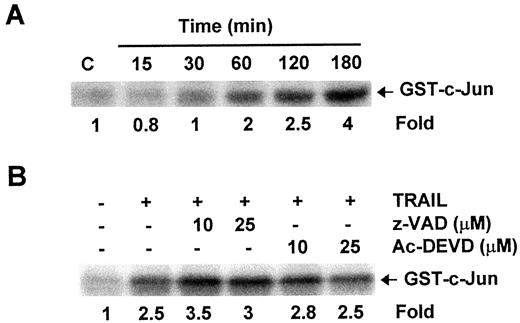 Fig. 4. Activation of JNK1 during the TRAIL-induced apoptosis. A, time course of JNK1 activation by TRAIL. PC-3 cells were treated with 100 ng/ml of TRAIL for different time periods. Endogenous JNK1 activity was determined by an immunocomplex kinase assay using GST-c-Jun(1–79) as substrate. B, effect of caspase inhibitors on JNK1 activation by TRAIL. PC-3 cells were treated with the indicated concentrations of z-VAD-fmk or Ac-DEVD-CHO for 1 h and then were stimulated with TRAIL (100 ng/ml) for 2 h. The cells were harvested and assayed for JNK1 activity as described in A. Data shown are examples of three separate experiments.