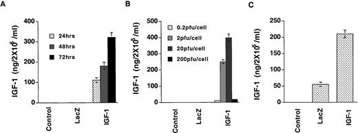 Fig. 2. IGF-1 production after infection of cells with an adenoviral vector for IGF-1 (IGF-1/Ad5). A, time-dependent secretion of IGF-1 after gene transfer. The cells were infected with IGF-1/Ad5 at 10 pfu/cell, and 24, 48, and 72 h later, culture supernatants were analyzed for IGF-1 levels by a commercial RIA. B, dose-dependent secretion of IGF-1 by WM1552C cells. Cells were infected with 0.2, 2, 20, and 200 pfu/cell IGF-1/Ad5 or control lacZ/Ad5 in protein-free medium. Forty-eight h later supernatants were tested for IGF-1 levels. C, normal human foreskin fibroblasts were infected with 20 pfu/cell IGF-1/Ad5 for 48 h, and culture supernatants were assessed for IGF-1 levels. Bars, SD.