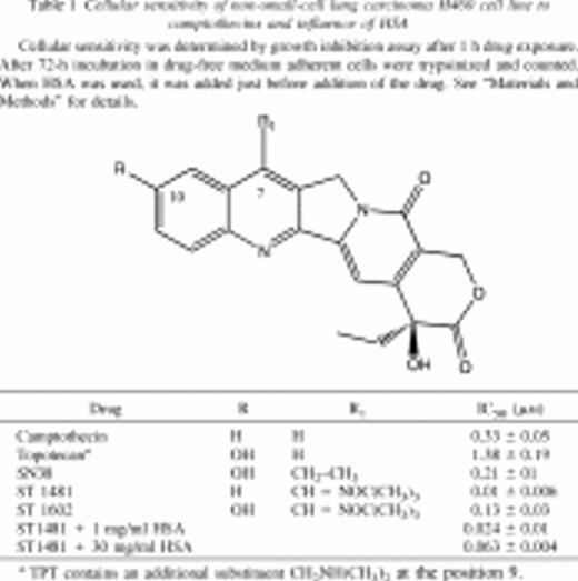 Cellular sensitivity of non-small-cell lung carcinoma H460 cell line to camptothecins and influence of HSA