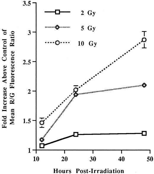 Fig. 4. Increased red:green (R/G) fluorescence ratio in irradiated cells is radiation dose- and time-dependent. Cells were stained and processed for flow cytometric analysis. The numbers represent the fold increase of the red:green fluorescence ratio in irradiated cells above controls, and are the mean ± SD of triplicate samples from one experiment that was reproduced twice with similar results.