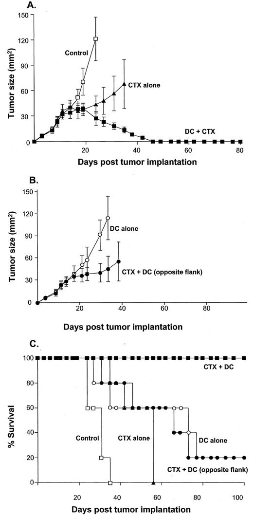 Fig. 1. Combined intratumoral injection of bone marrow-derived DCs and systemic CTX treatment on the growth of established CT26.CL25 syngeneic colon carcinoma tumors. CT26.CL25 cells (105) were injected s.c. in the lower right flank of BALB/c mice. On days 11 and 13, mice with established tumors (on day 11, average tumor size was 27.8 ± 3.8 mm2) were treated with i.p. CTX (150 mg/kg each administration) and received intratumor administration of syngeneic DCs on days 12, 13, 14, and 18 (4 × 106 cells in 50 μl of each administration). The experimental groups included: group 1, controls with intratumor HBSS injections (50 μl, n = 5, □); group 2, intratumoral injections of DCs alone (n = 5, ○); group 3, i.p. CTX alone (n = 5, ▴); group 4, i.p. CTX and intratumoral DCs (n = 5, ▪); and group 5, i.p. CTX and DCs injected s.c. in the left flank, a site distal to the tumor (n = 5, •). A, tumor size for groups 1, 3, and 4. The data are presented as mean tumor size (mm2) for each group; bars, SE. B, tumor size for groups 2 and 5. C, survival of mice recorded as the percentage of surviving animals on a given day. Surviving mice had no sign of tumor when the experiment was terminated. Experiments were repeated at least twice with similar results.