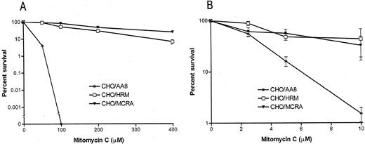 Fig. 1. Survival curves for CHO/MCRA, CHO/HRM, and CHO/AA8 cell lines treated with graded concentrations of MC for 1 h under aerobic (A) or hypoxic conditions (B). Survival was calculated using the plating efficiencies of aerobic and hypoxic vehicle-treated controls. Points are geometric means of three to five determinations; SE (bars) are shown where larger than the points. Note that in A, treatment of CHO/AA8 cells with 100 μm MC results in 0% survival of the 105 plated cells (see Table 1<$REFLINK>); also note the differences in the scales for percentage survival and drug concentration under the different conditions of oxygenation.