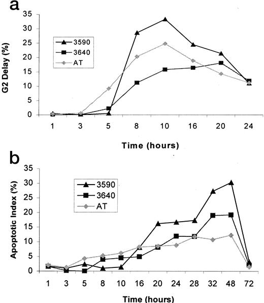 Fig. 1. The effects of radiation doses on G2 delay (a) and apoptotic index (b). Cell lines from a healthy donor (3590), a head and neck cancer patient (3640), and an AT patient (AT) were exposed to 2.5 Gy of γ-radiation at various time points. Each value was the average of three separate experiments.