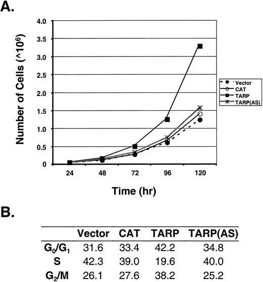 Fig. 2. PC3 cells expressing TARP have a shorter doubling time. A, cell growth study. Cells (5 × 104) of each respective PC3 cell line were seeded for each time point in triplicate. At each time point, the cells were harvested, and the total number of cells was determined. A representative of three experiments is shown. B, flow cytometry analysis. Asynchronous populations of each respective PC3 stable line were harvested, stained by PI, and analyzed using a FACSCalibur reader. 20,000 cells from each stable cell line were analyzed. Numbers indicate the percentage of cells found in that stage of the cell cycle. A representative of two experiments is shown.