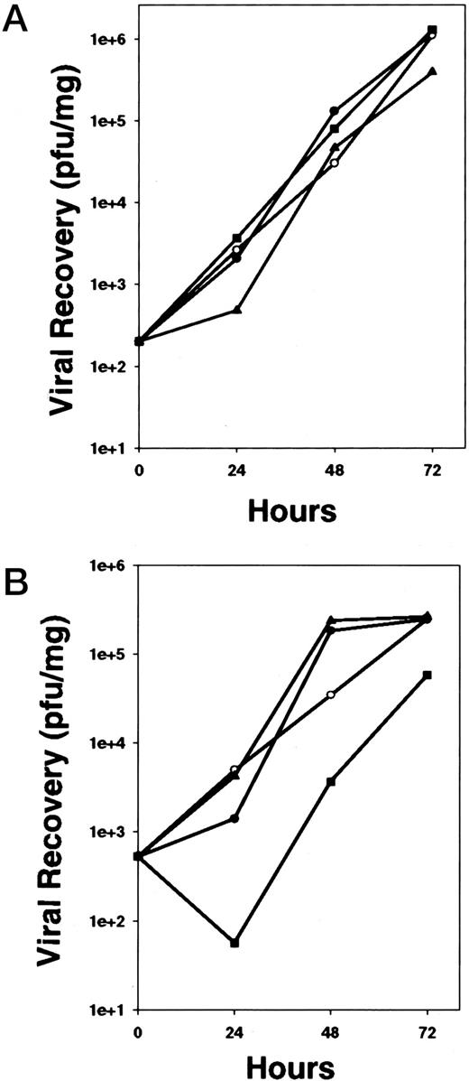 Fig. 2. Viral recovery 24, 48, and 72 h after in vitro infection of NIH3T3 cells with WT (F13L+; • ), TK− (VJS6; ▴), VGF− (VSC20; ○ ), and vvDD-GFP (▪) vaccinia viruses. Equivalent recovery of vvDD-GFP was seen compared with the other viruses when dividing cells were used (A); however, decreased virus was recovered after infection of resting (confluent) cells (B).