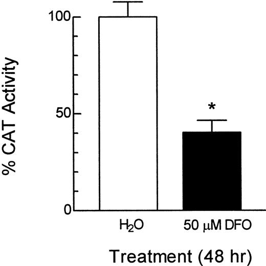 Fig. 6. Inhibition by DFO of CAT reporter gene expression driven by an N-myc promoter (−1887 to+1058). Data shown were corrected by transfection efficiency in each dish and representative from one experiment with three replicates. The same experiment was repeated twice. □, control treated with water;▪, treated with 50 μm DFO; ∗, Student’s t test, one-tailed, P < 0.005.