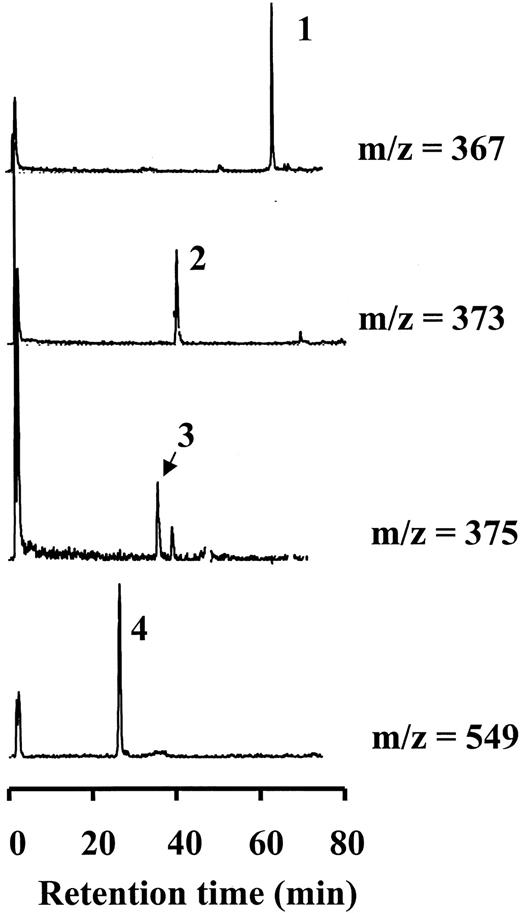 Fig. 4. Mass spectrometric analysis by selected ion monitoring at the indicated m/z values of extracts of rat plasma 30 min after administration of curcumin (40 mg/kg, i.v.). Peaks can be assigned to curcumin (1; m/z = 367),hexahydrocurcumin (2; m/z = 373),hexahydrocurcuminol (3; m/z = 375), and hexahydrocurcumin glucuronide (4; m/z = 549). Note that retention times are longer than those shown in Fig. 2<$REFLINK>and Table 1<$REFLINK> because the chromatographic conditions were slightly different; the retention times shown here are 67.1 min for curcumin,39.5 min for hexahydrocurcumin, 38 min for hexahydrocurcuminol, and 24.9 min for hexahydrocurcumin glucuronide. Selected ion chromatograms of plasma extracts from rats that had not received curcumin did not show any of the peaks seen here. The chromatograms are representative of three experiments. For details of curcumin administration and HPLC and mass spectral analyses see “Materials and Methods.”