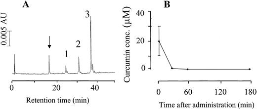 Fig. 5. High-performance liquid chromatogram with detection at 420 nm of an extract of rat plasma obtained 30 min after i.v. administration of curcumin (40 mg/kg; A), and time course of disappearance of curcumin after i.v. administration(B). The identity of the peaks in A was established by cochromatography and mass spectrometry as curcumin(3), curcumin sulfate (2), and curcumin glucuronide (1; see “Results”). Note that commercially available curcumin contains 15% desmethoxycurcumin and 5% bisdesmethoxycurcumin, which furnished the two small peaks just beyond curcumin. The arrow in A marks the position of a peak characterized by mass spectrometry as curcumin glucuronide sulfate(see “Results”). HPLC analysis of extracts of plasma from control rats did not furnish any detectable peaks. AU,absorbance units. The chromatogram is representative of three experiments, and the values in B are the mean ± SD values of three separate animals. For details of curcumin administration and HPLC analysis see “Materials and Methods.”
