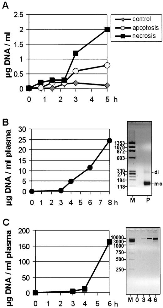 Fig. 6. Extracellular DNA after induction of cell death in vitro and in vivo. A, supernatant DNA quantities of apoptotic or necrotic Jurkat T cells. Apoptosis was induced by staurosporine; necrosis was induced by staurosporine plus oligomycin (14). DNA in supernatants was quantitated by competitive PCR at the time points indicated. B,apoptosis in vivo. Mice were treated with anti-CD95 antibody (17). Quantities of plasma DNA analyzed by real-time PCR quantitation (averages from three animals per time point). Right: Lane M, DNA fragments of known sizes (in bp); Lane P, size distribution of plasma DNA fragments at 8 h after injection of anti-CD95 antibody(mo and di, mononucleosomal and dinucleosomal DNA fragments, respectively). C, necrosis in vivo. Mice were treated with acetaminophen(17), and plasma DNA was analyzed by real-time PCR quantitation at the time points indicated (averages from three animals per time point). Right: Lane M, DNA marker (in bp); Lanes 0, 3, 4, and 6, plasma DNA at 0, 3,4, and 6 h after injection of acetaminophen, respectively.