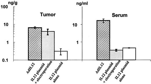 Fig. 2. Maximum IL-12 levels in tumor and serum after intratumoral injection of IL-12 plasmid (50 μg in 50 μl) with consecutive electroporation or after intratumoral injection of recombinant adenovirus encoding IL-12 (3 × 108 plaque-forming units of AdIL12). For adenovirus, the samples were taken 2 days after viral injections. For plasmids, the samples were taken 5 days after plasmid injection. The results are plotted as mean ± range of two to four animals per data point; bars, SE.