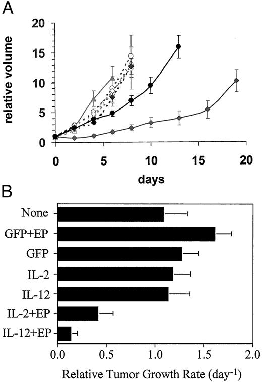 Fig. 3. Results from tumor growth delay experiments. A, mean relative tumor volumes (bars, SE) for B16.F10 in C57BL/6 mice tumors treated with injections of control plasmid (EGFP), mIL-2 or mIL-12 with or without in vivo electroporation. ▪, no treatment control; ▵, EGFP plasmid alone; ▴, EGFP plasmid + electroporation (EP); ○, mIL-2 plasmid alone; •, mIL-2 plasmid + EP; ⋄, mIL-12 plasmid alone; ♦, mIL-12 plasmid + EP. B, relative tumor growth rate in the first 6 days after treatment. The values represent the slopes of the relative growth curve in A as calculated by linear curve fitting.