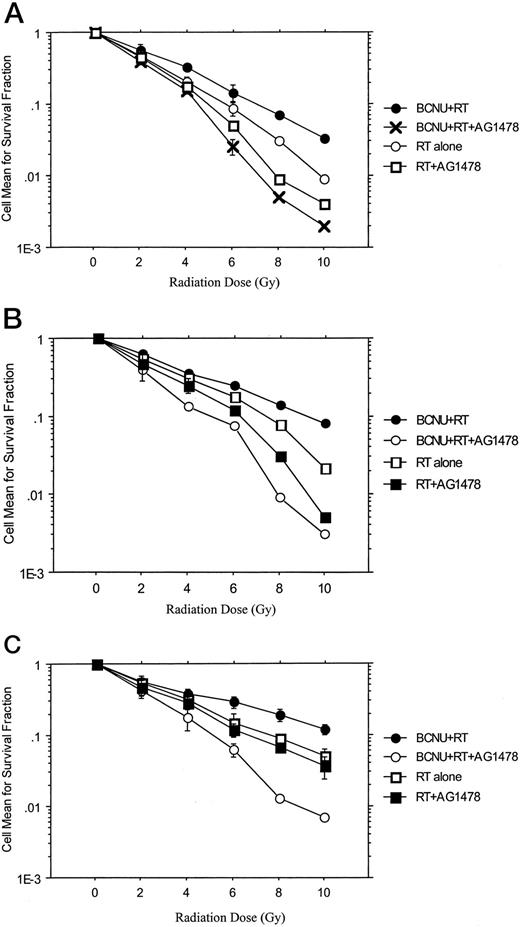 Fig. 3. In GBME3–5 cell lines, decreased levels of apoptosis is associated with increased clonogenic survival in the BCNU-pretreated cells after irradiation. A–C demonstrate that reduced levels of apoptosis seen in Fig. 2<$REFLINK> in the BCNU pretreatment groups correspond to increased levels of clonogenic survival. For each cell line, pretreatment with BCNU chemotherapy is associated with enhanced clonogenic survival compared with radiation alone (P < 0.0001). Antagonism of EGFR signaling not only appears to be more effective in the setting of combined chemotherapy and radiation compared with radiation alone (P < 0.0001). Bars, SD.