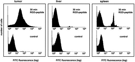 Fig. 3. Flow-cytometry demonstrating the binding of RGD-FITC-labeled peptide to cells of different organs in BALB/c nu/nu mice. The RGD-FITC-labeled peptide was injected into the tail vein of mice. Mice were sacrificed after 30 min, and they were perfused through the heart with 25 ml of 0.9% NaCl tissues were isolated and frozen in isopentane. After preparing single-cell suspension with a cell strainer, the cells were measured with FACS analysis for FITC fluorescence. Control cells were taken from experiments without peptide injection. Instrumental setting of the Galaxy Pro during experimental measurement and the control measurement were identical.