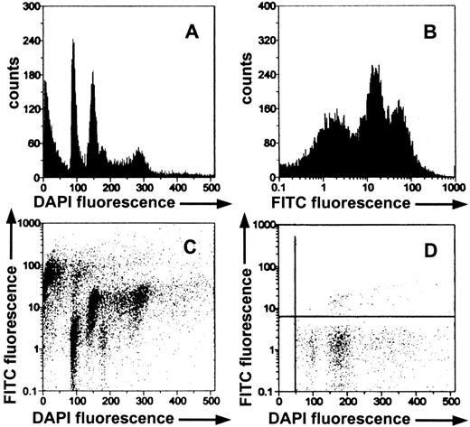 Fig. 4. FACS histograms of cells derived from MDA-MB 435 tumors grown in nude mice. RGD-FITC-peptide (100 μg) was injected into the tail vein of the mouse (A–C) and was allowed to circulate for 15 min. D, a control; no peptide has been injected, and cells show only autofluorescence. Cells were prepared with a cell strainer and stained with DAPI. (A) DAPI stain for cell cycle (B) FITC-fluorescence of the tumor-derived cells (C) DAPI stain versus FITC fluorescence to show cell type-specific labeling (D) control (no RGD-FITC-peptide was injected) DAPI stain versus FITC fluorescence showing the cutoff that has been used to determine the percentage of labeled cells.